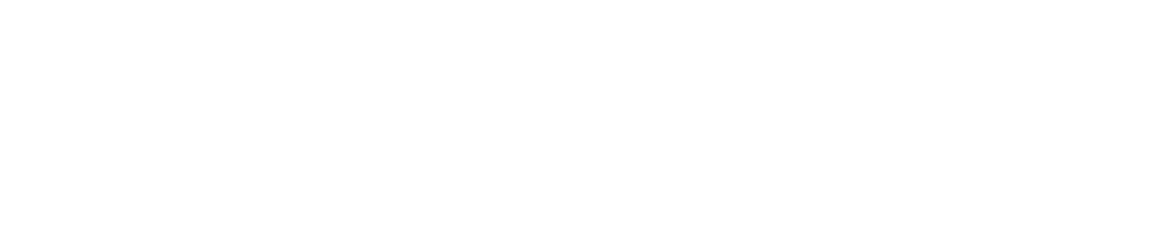 Vantage Debt Management